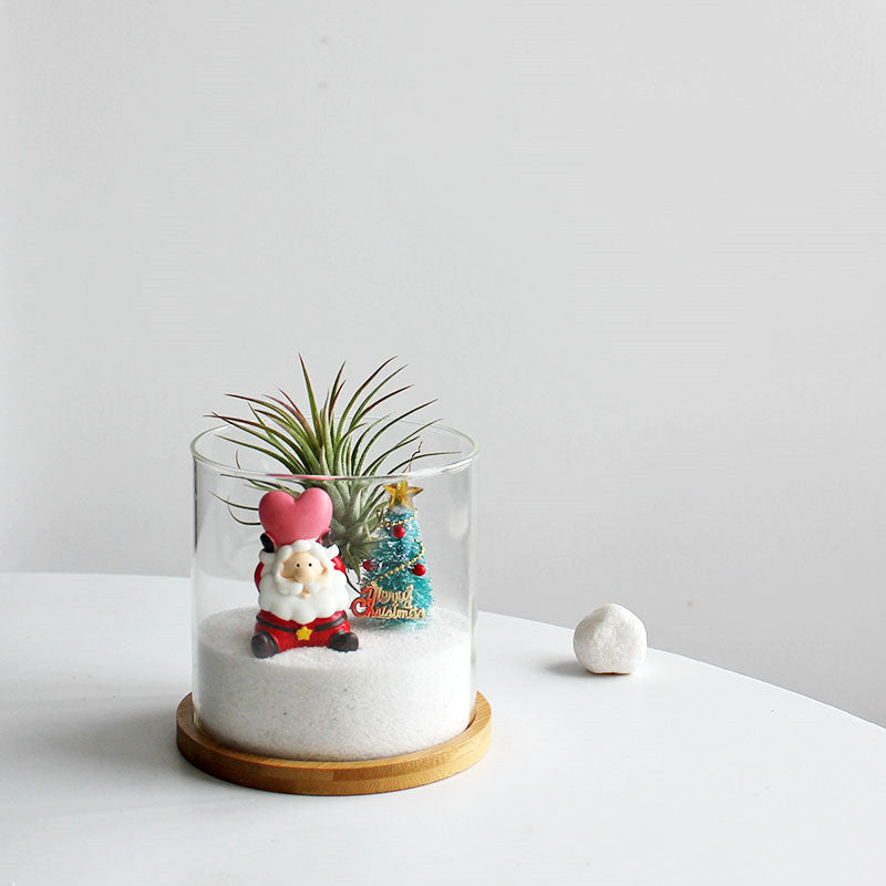 Funny Plant Christmas Gift Glass Flowerpot