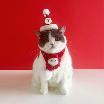Christmas Cat Scarf – Cozy Holiday Pet Decoration